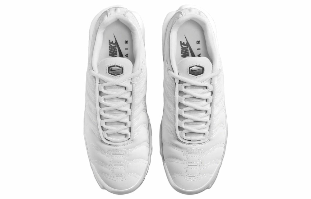 Кроссовки Nike Air Max Plus (Женская размерная сетка)