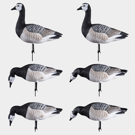 Белощекая казарка Duck Mania "ELITE"