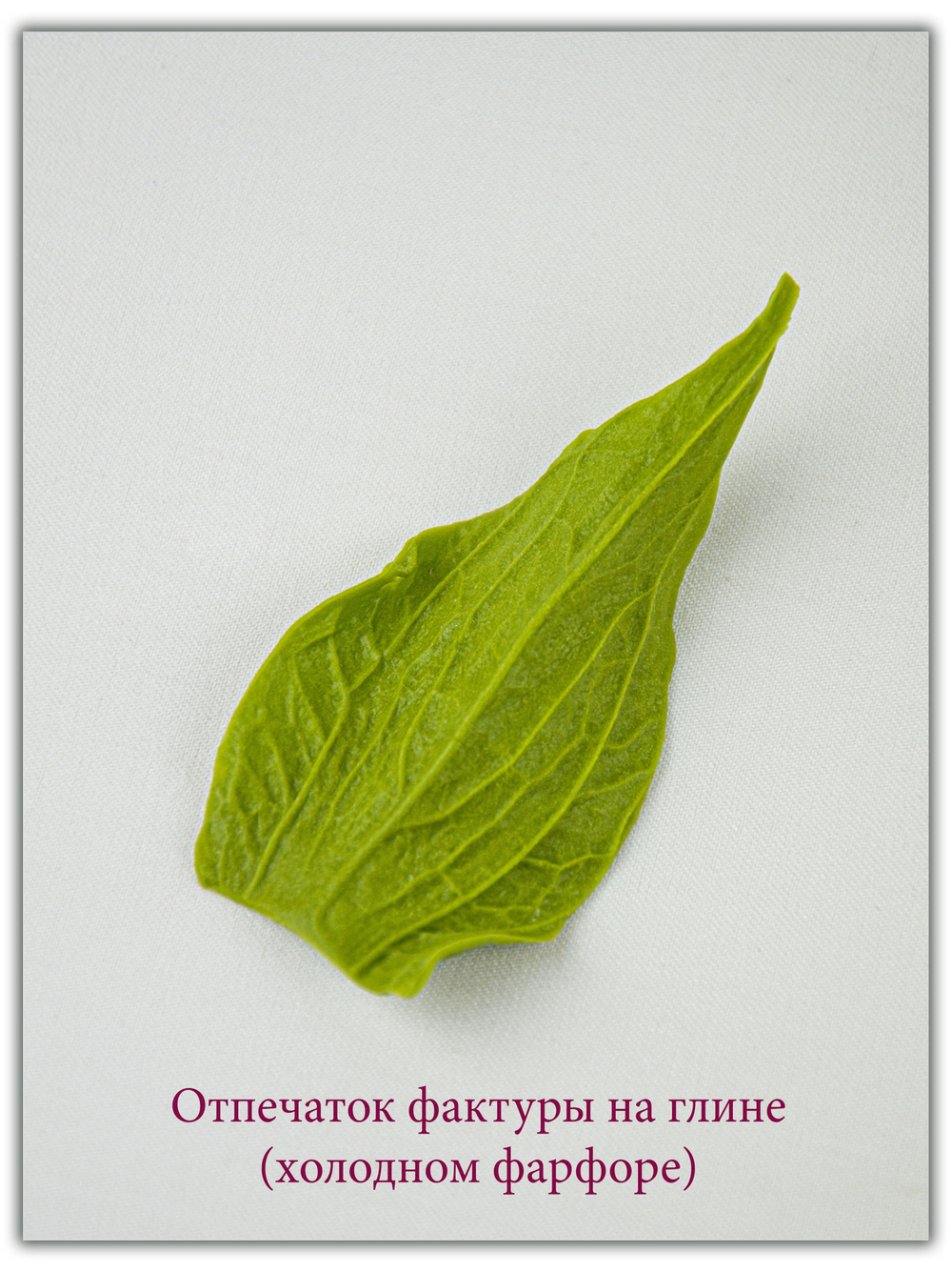 Комплект для лепки подсолнухов