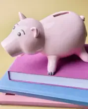 Игрушки ZARA