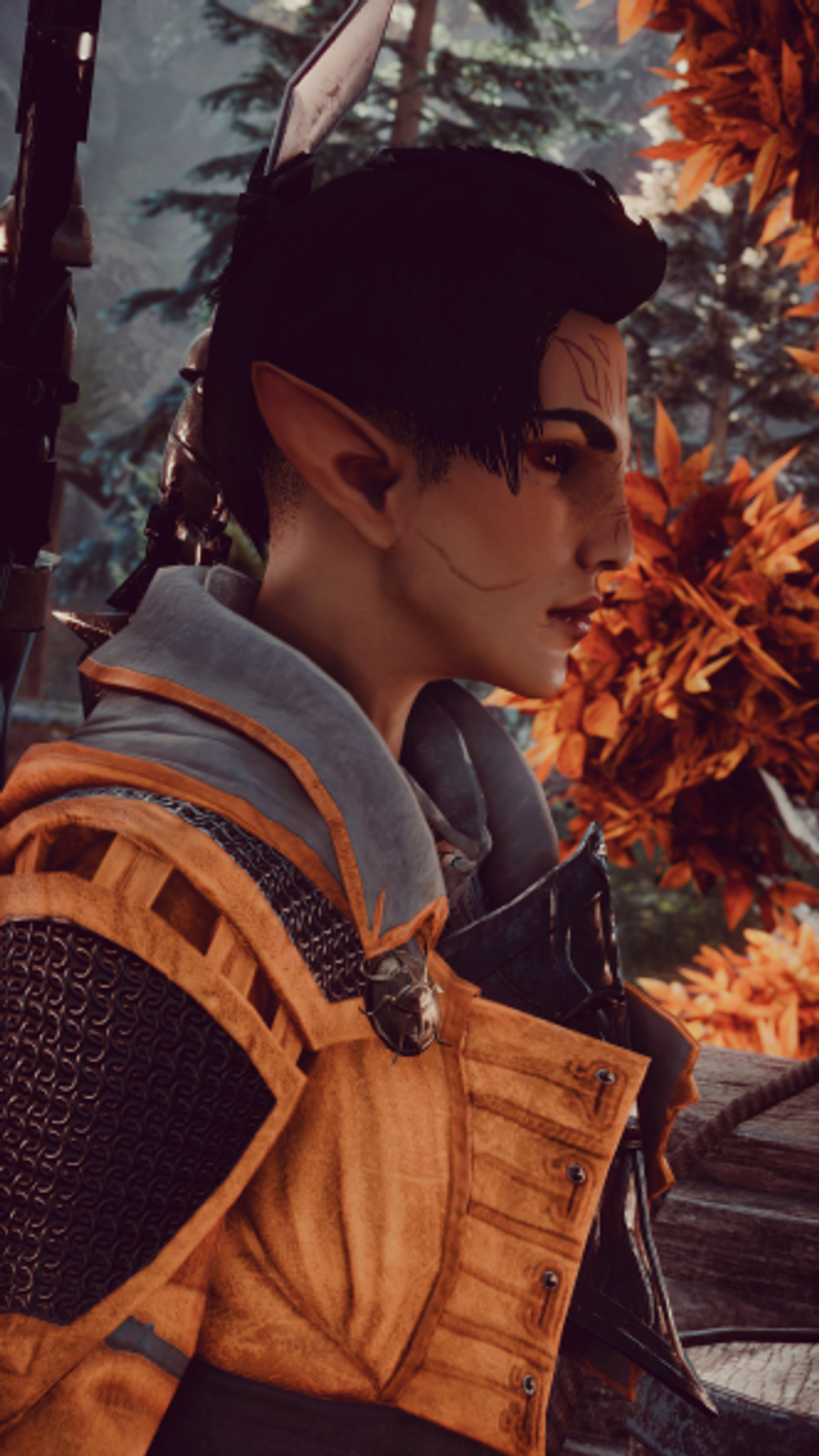 Товар с картинками модификаций