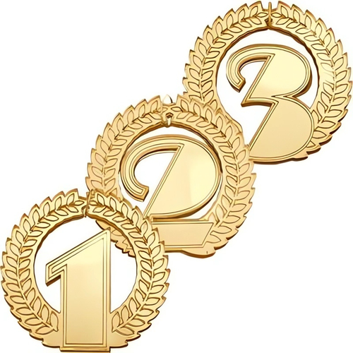 1556 Акриловая медаль 1,2,3 место