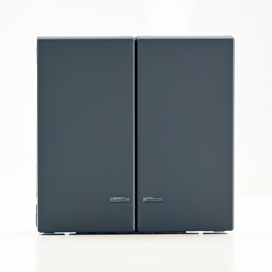 Выключатель 2-кл. ArtGallery (сх. 5а) 10AX с подсветкой механизм грифель SE GAL000753