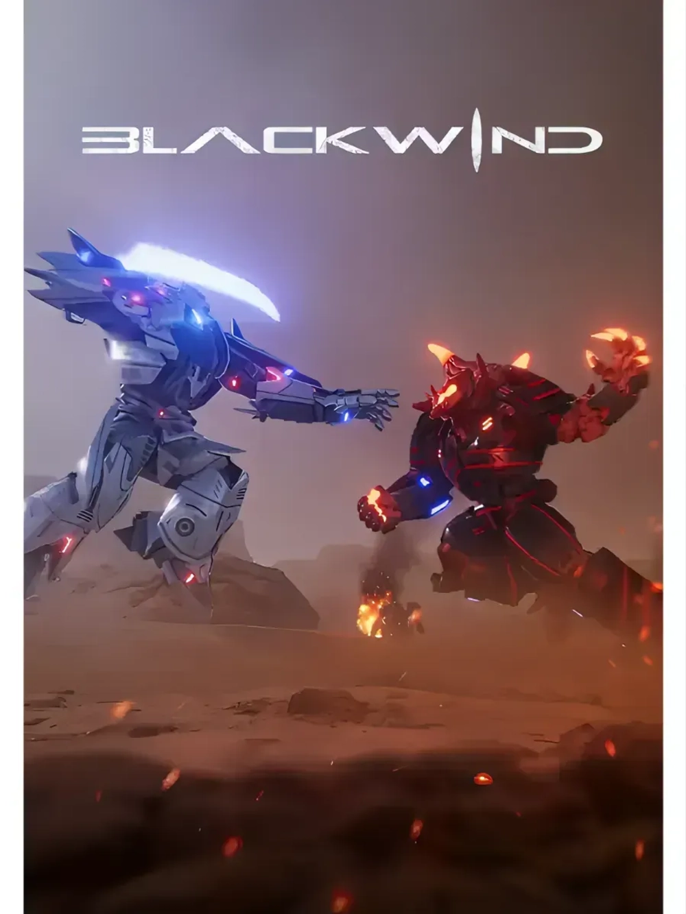 Blackwind, игра для ПК (на флешке USB)