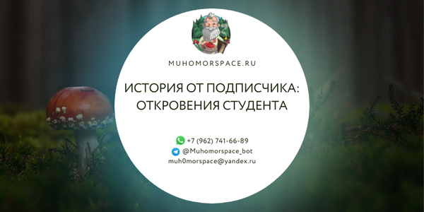 История от подписчика: ОТКРОВЕНИЯ СТУДЕНТА ОБ ОПЫТУ ПОТРЕБЛЕНИЯ ШЛЯПОК МУХОМОРА