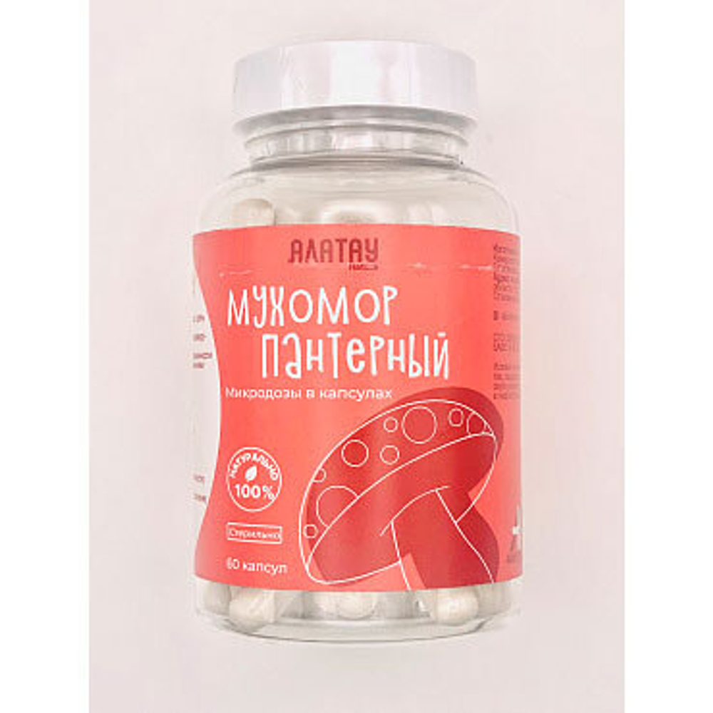 Мухомор Пантерный