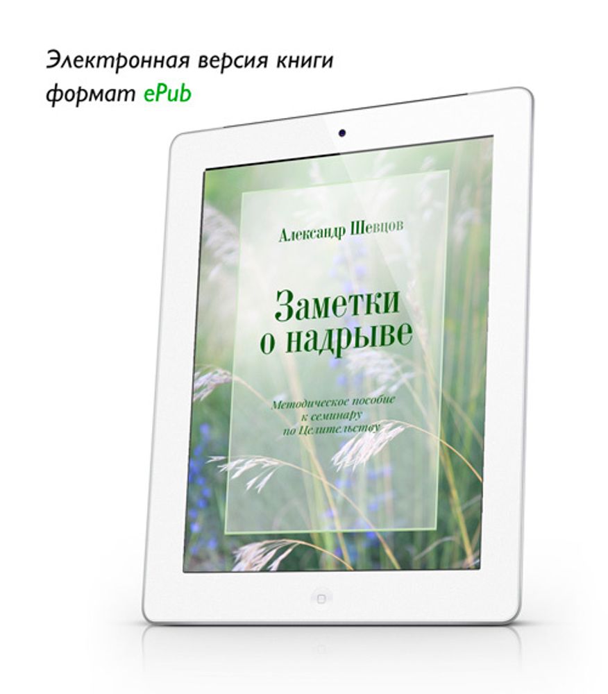 Шевцов А. Заметки о надрыве. ePub