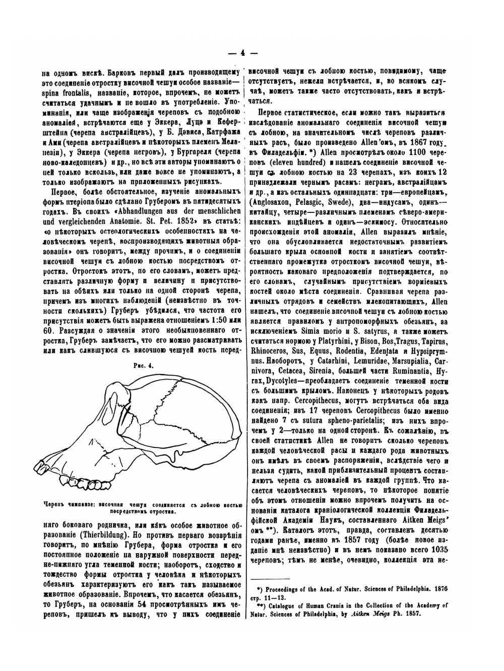 О некоторых аномалиях человеческого черепа и преимущественно об их распространении по расам | Д. Анучин