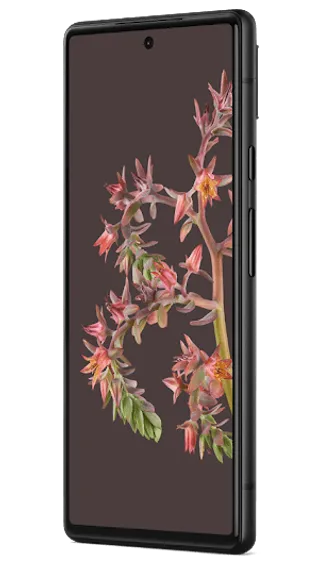 Google Pixel 6 8/256Gb Stormy Black (черный)