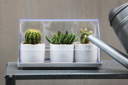 Лоток для выращивания растений micro green house, прозрачный