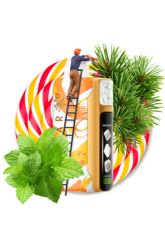 ELF BAR SWEET KING - Pine Needle Mint (5% nic)