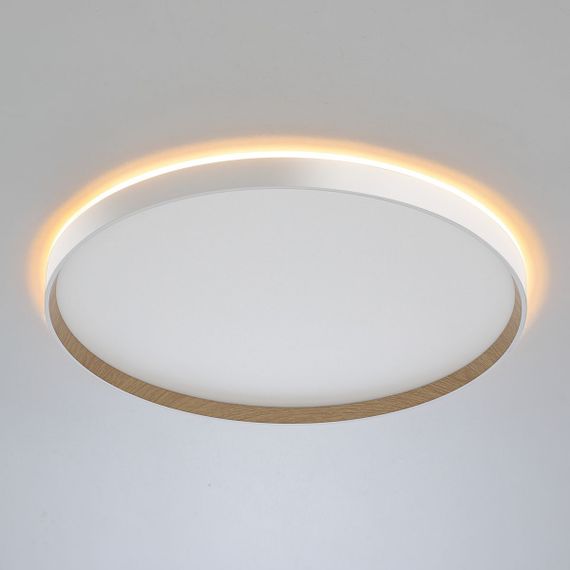 Потолочный светодиодный светильник Citilux Etalon CL750500R