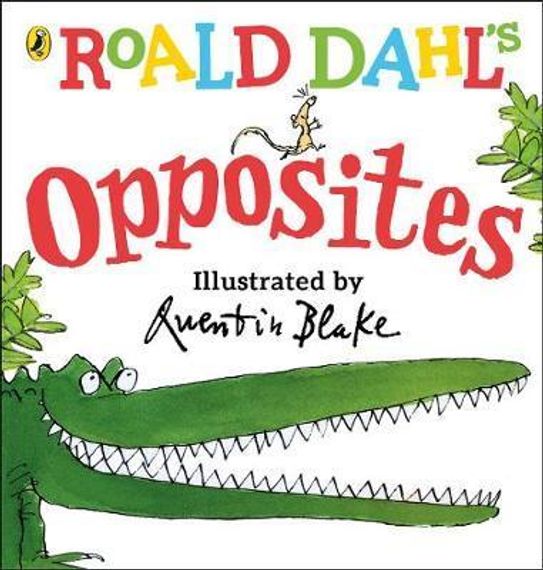 Roald Dahl&#39;s Opposites : (Lift-the-Flap)