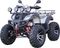 Квадроцикл STALKER 250 Premium