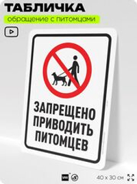 Табличка "Запрещено приводить питомцев" на дверь и забор, для двора, дома, подъезда, 40х30 см, Silver Plane x Айдентика Технолоджи