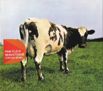 Pink Floyd / Discovery (16CD)