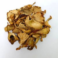 Лисички (сушеные)