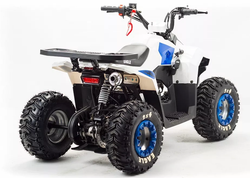 Квадроцикл MOTOLAND (МОТОЛЕНД) 110 EAGLE