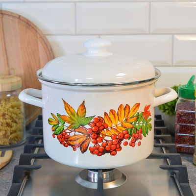 Кастрюля 4,5л "Рябина"