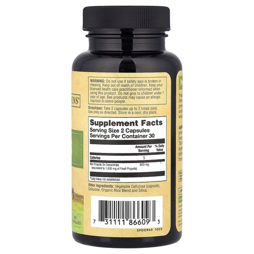 Zand, Пчелиный прополис, 2x эффективность, 60 капсул (400 мг на капсулу)