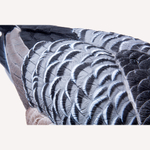 Белощекая казарка Duck Mania "ELITE"