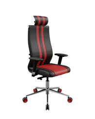 SynchroSit 10 B2-187D - Extra /Kb40/Wh40/D03P/H13mL-G-2D(M24.B23.G18.W32)