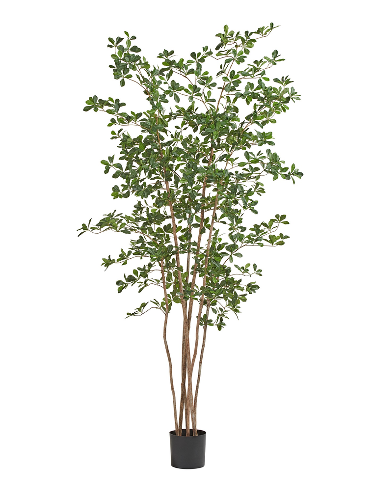 Дерево лесное мелколистное 210 см