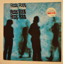 Винтажная виниловая пластинка LP Cheap Trick Standing On The Edge (Holland 1985)