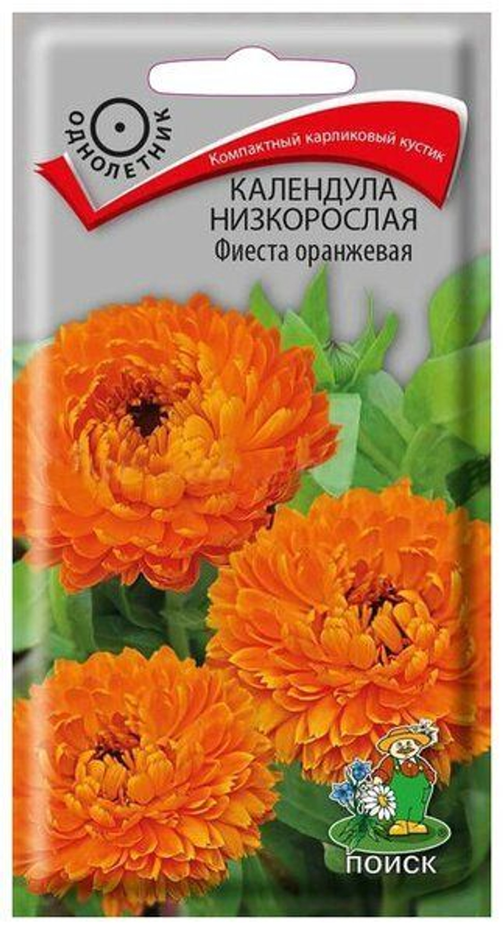 Календула Фиеста оранжевая низкорослая