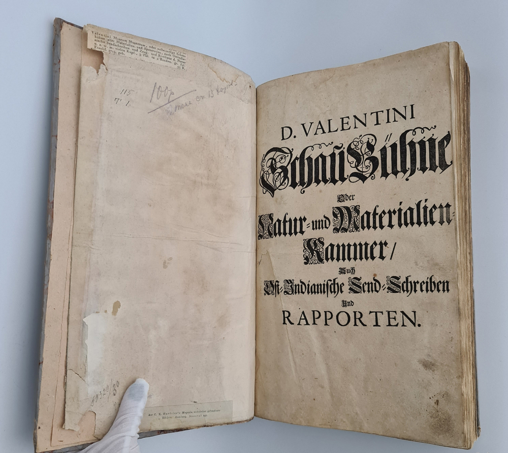"Museum museorum, oder Vollstandige Schau-Buhne aller Materialien und Specereyen [...] aus andern Material-Kunst und Naturalien Kammern Oost und West-Indischen Reisbeschreibungen". D. Michael Bernhard Valentini. 1714 г.