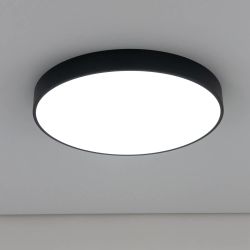 Citilux Купер CL72495G1 LED RGB Светильник с пультом Чёрный