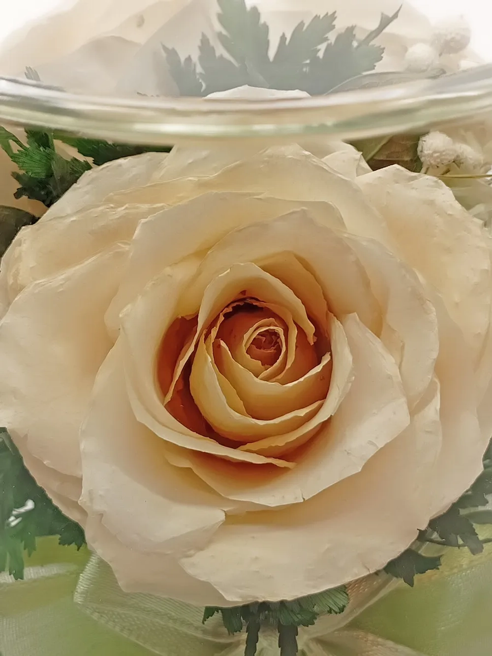 натуральные цветы в стекле, вакуум