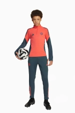 Кофта adidas FC Bayern 25/26 Training Top Junior - оранжевый
