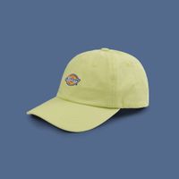  Кепка Dickies Hardwick 6 Panel Logo артикул:DK0A4TKVH141 - купить в магазине Дайс