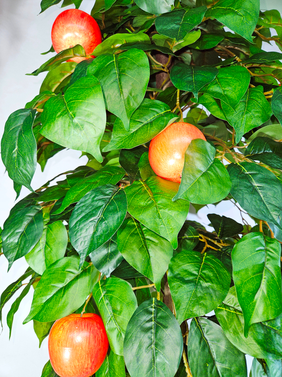 Яблоня с плодами 170см в кашпо