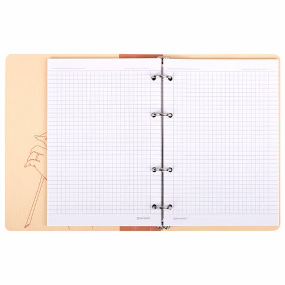 Тетрадь на кольцах А5 160х212 мм, 120 листов, картон, фольга, клетка, BRAUBERG, "Pretty woman", 404736