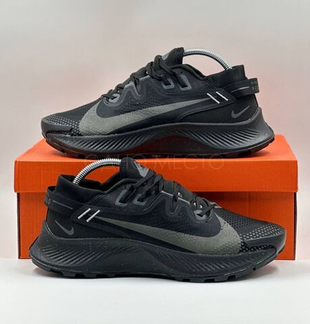Nike Pegasus Trail 2