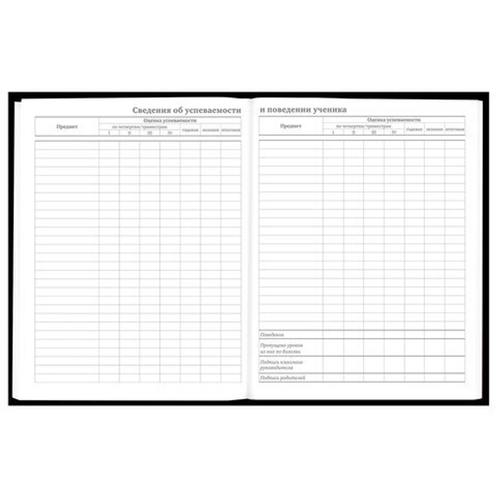 Дневник 5-11 класс 48 л., твердый, BRAUBERG, глянцевая ламинация, с подсказом, "Ты-Гы-Дык", 107184