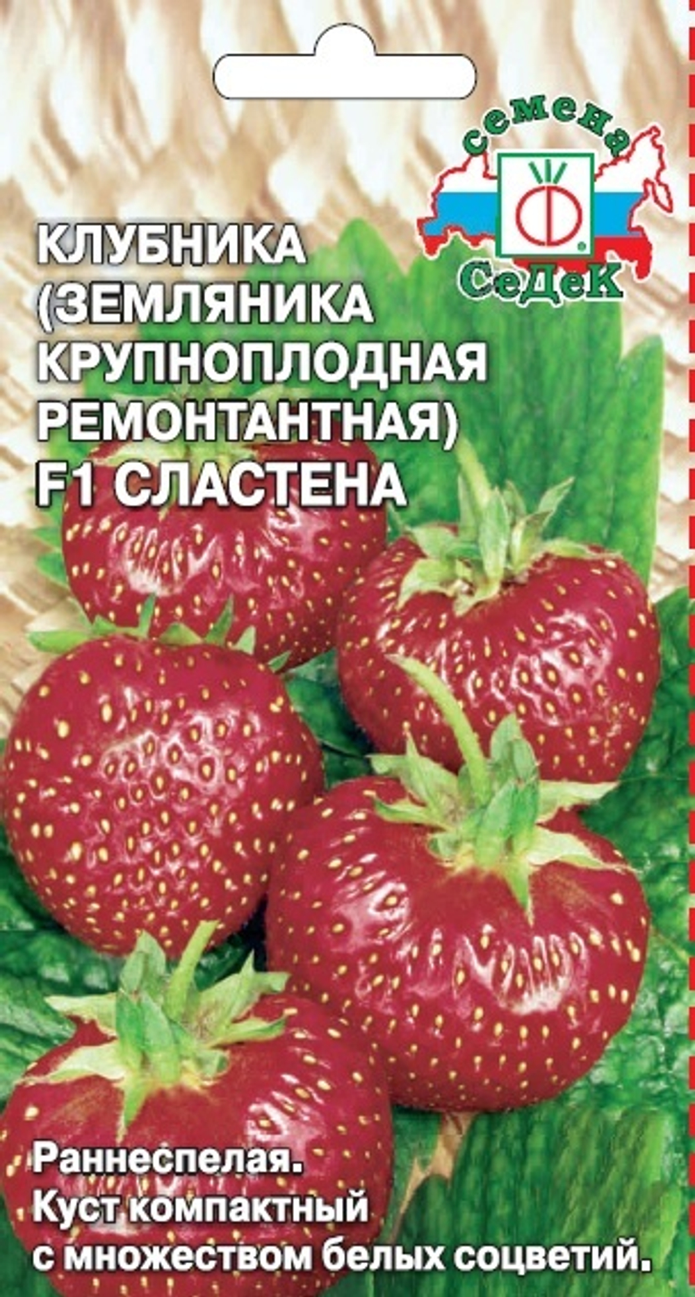 Клубника Сластена F1 (земляника крупноплодная ремонтантая)