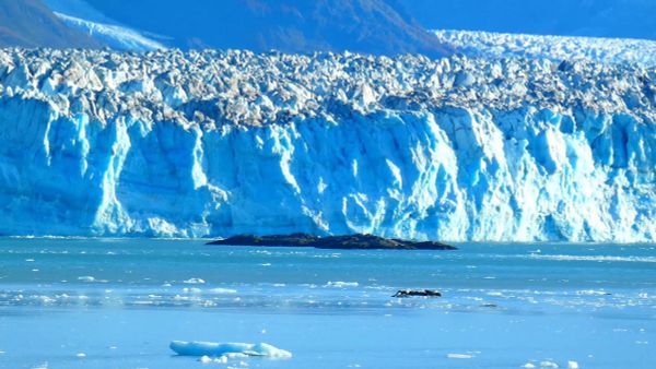 Ледник Хаббард: мятежник, который наплевал на глобальное потепление