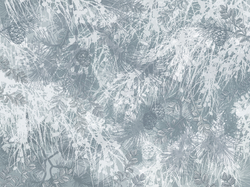 Коллекция FOREST