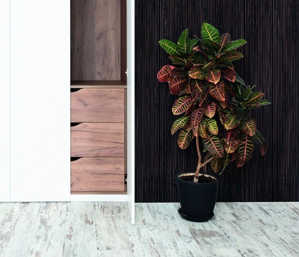 Стеновая панель HiWood декорированная, 270x12 см