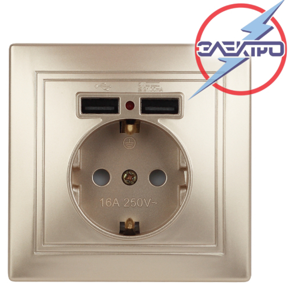 2730 Розетка 1-я с/з внутренняя +2 USB (жемчужное золото) /Мира Электро