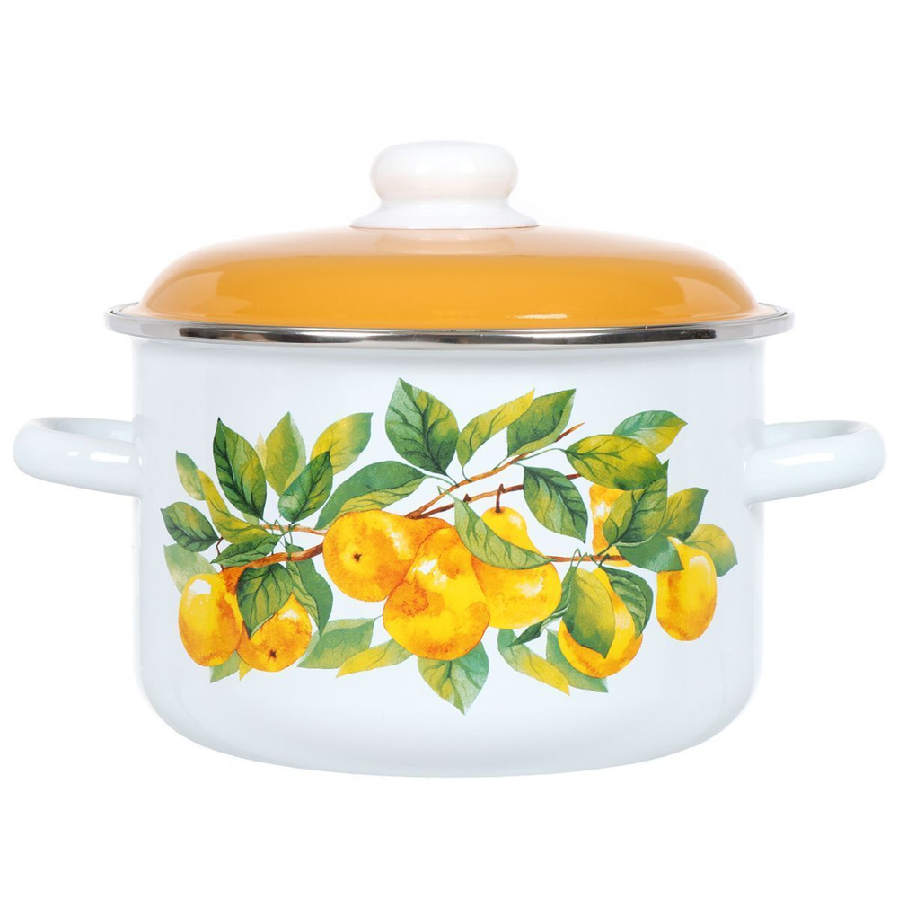 Кастрюля сталь, эмал, 4 л, с крыш, крышка сталь, СтальЭмаль, Грушевый сад, 6RD201M, белоснежная
