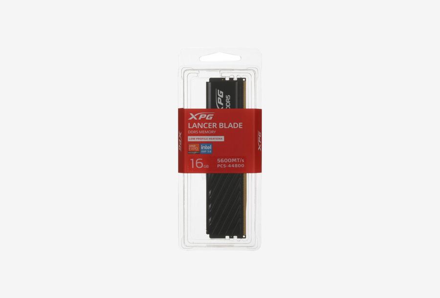 AX5U5600C4616G-SLABBK_0326709110656