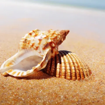 Отдушка TFC - Золотые пески (Golden Sands)