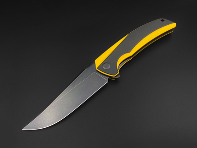 Складной нож Loong [T10S PVD G10]