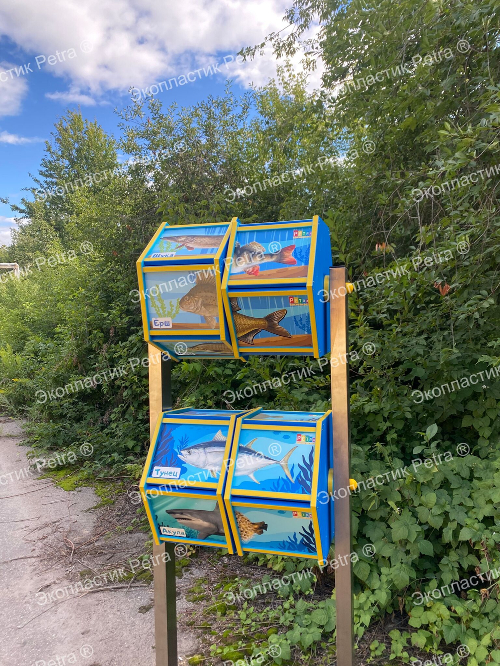 Интерактивный модуль