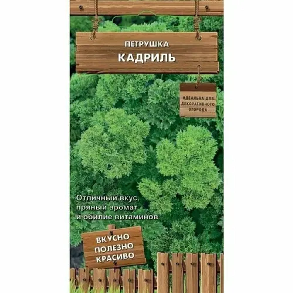 Петрушка кудрявая