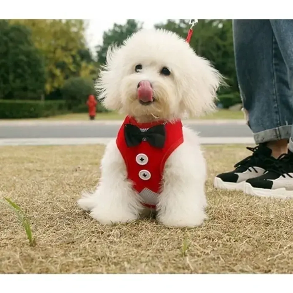 Шлейка с поводком для мелких пород собак и кошек «LAPUSIK», цвет красный, размер M